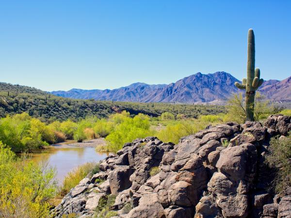 River and cactus in mountainous desert scene