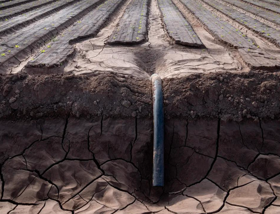 closeup of a dry, cracked field with a dry pipe running out of the ground 